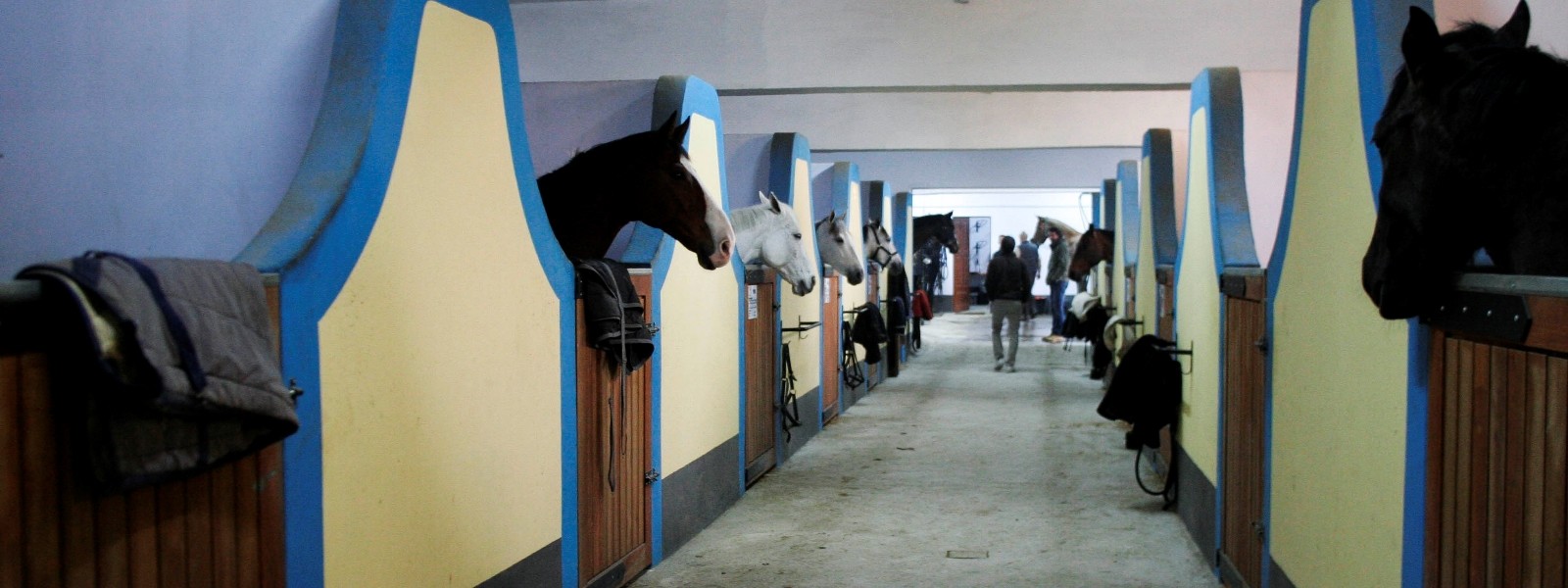 Instala��es do CHIRPC