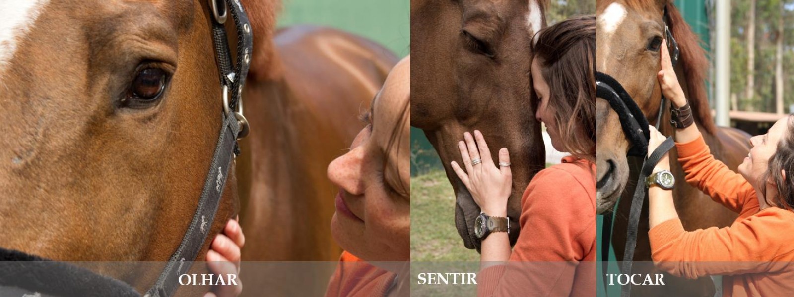 Equita��o Terap�utica